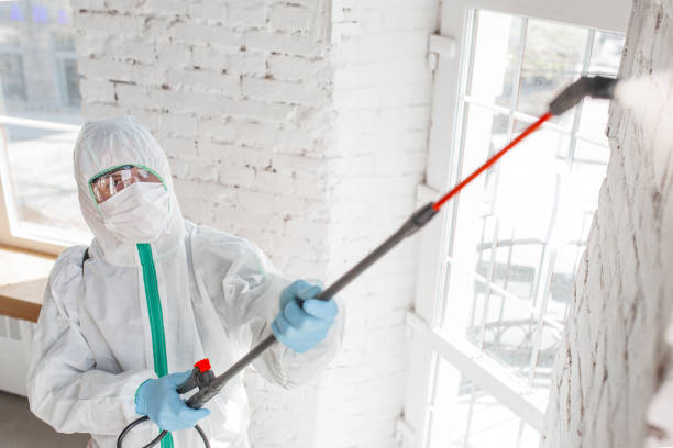 Best Post-Remediation Verification Testing  in Englewood Cliffs, NJ