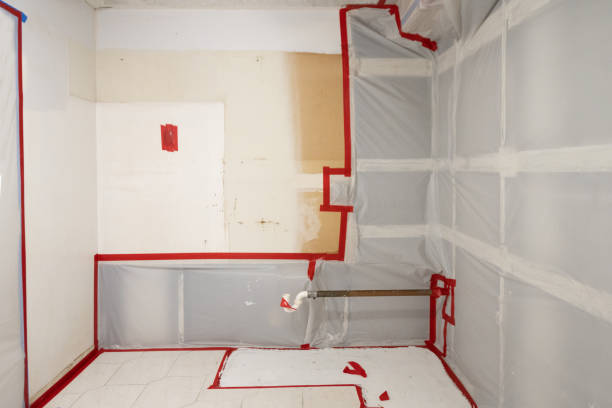 Best Emergency Mold Remediation  in Englewood Cliffs, NJ