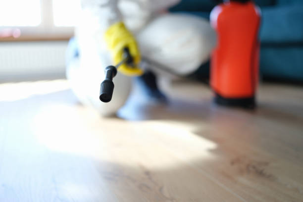 Best Industrial Mold Remediation  in Englewood Cliffs, NJ